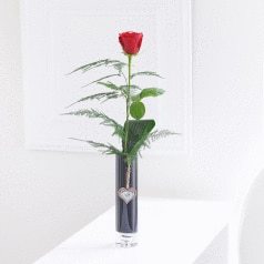Single Kiss Rose Vase