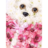 Pink bear 400z